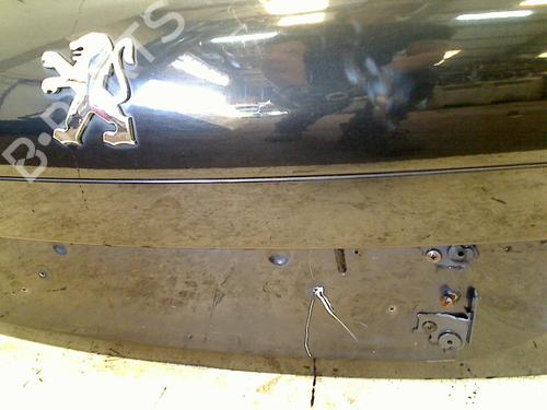 Tailgate PEUGEOT 207 (WA_, WC_) 1.4 HDi | BP11320613C6 