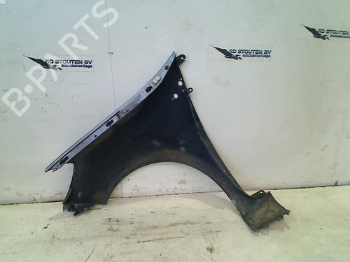 Right front fenders RENAULT CLIO III (BR0/1, CR0/1) 1.5 dCi | BP18319484C42 