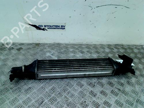Intercooler FIAT PUNTO EVO (199_) 1.3 D Multijet | BP11303178M30 