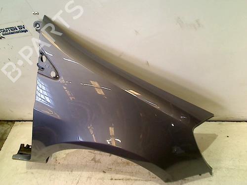Right front fenders RENAULT CLIO III (BR0/1, CR0/1) 1.5 dCi | BP18319484C42 