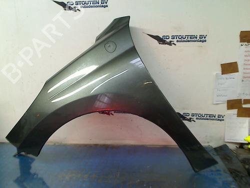 Used Left front fenders PEUGEOT 207 (WA_, WC_) 1.6 16V (109 hp) 16363989