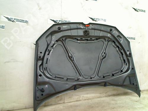 Hood VW POLO V (6R1, 6C1) 1.2 TSI | BP24202923C1