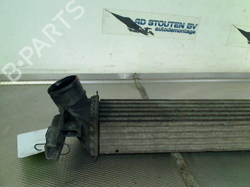 Intercooler SEAT IBIZA IV (6J5, 6P1) 1.2 TDI | BP25213989M30 