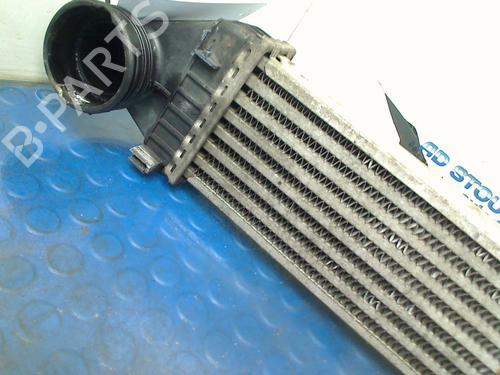 Intercooler MERCEDES-BENZ A-CLASS (W169) A 180 CDI (169.007, 169.307) | BP22335033M30 