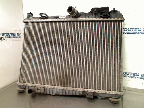 Radiatore acqua Radiatore acqua FORD FIESTA VI (CB1, CCN) 1.0 (80 hp) 36432110 36432110