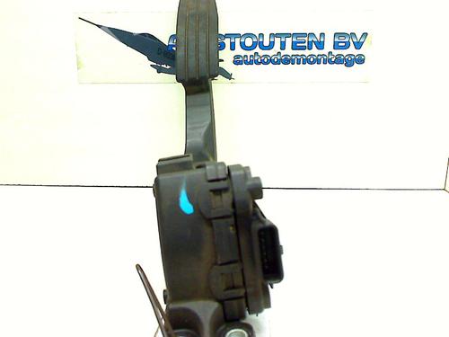 Pedal RENAULT TWINGO II (CN0_) 1.2 (CN0D) (58 hp) 13123028