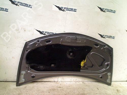 Hood RENAULT CLIO III (BR0/1, CR0/1) 1.5 dCi | BP18319483C1 
