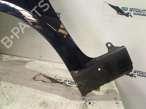 Left front fenders FIAT GRANDE PUNTO (199_) 1.3 D Multijet | BP16029238C41 