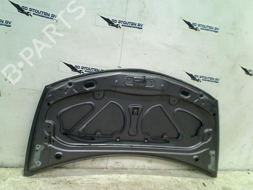 Hood RENAULT CLIO III Grandtour (KR0/1_) 1.2 16V (KR02, KR0J) | BP18899384C1 
