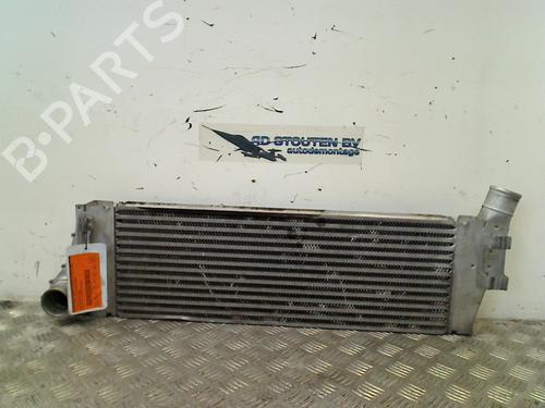 Used Intercooler RENAULT MEGANE II (BM0/1_, CM0/1_) 2.0 Renault Sport (224 hp) 11301678