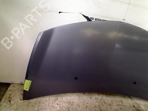 Hood RENAULT CLIO III (BR0/1, CR0/1) 1.6 16V (BR05, BR0B, BR0Y, BR15, BR1J, BR1M, BR1Y, CR0B,... | BP13387790C1 