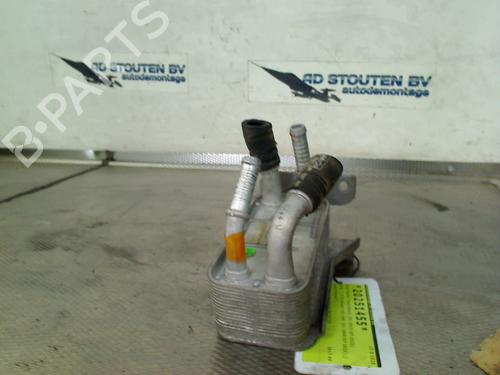 Used Oil radiator FORD FIESTA VII (HJ, HF) 1.0 EcoBoost (101 hp) 29932687