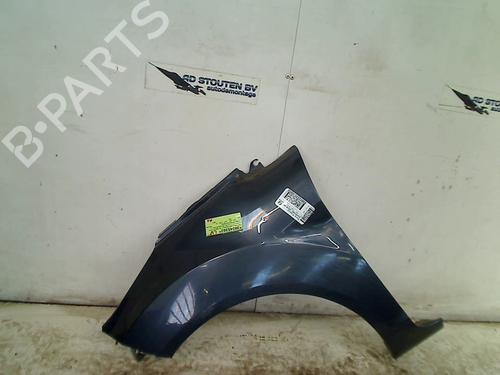 Used Left front fenders FORD FIESTA VI (CB1, CCN) 1.25 (82 hp) 21273525