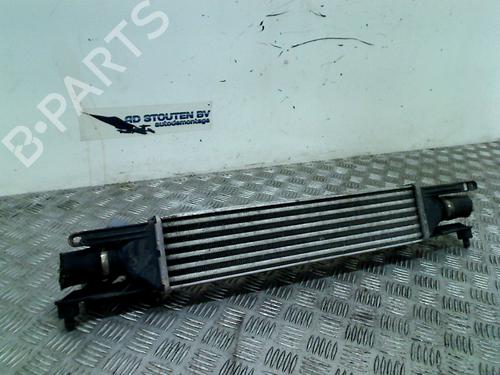 Used Intercooler FIAT PUNTO EVO (199_) 1.3 D Multijet (84 hp) 11303178