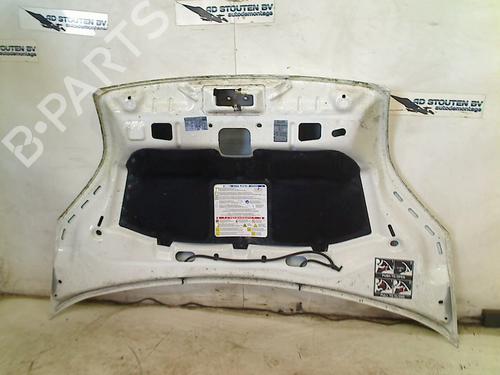 Hood FIAT FIORINO Box Body/MPV (225_) 1.3 D Multijet (225BXD1A, 225BXB1A, 225BXB11) | BP25591135C1 
