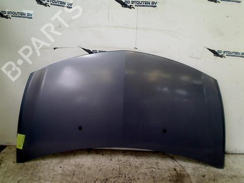 Used Hood RENAULT CLIO III (BR0/1, CR0/1) 1.6 16V (BR05, BR0B, BR0Y, BR15, BR1J, BR1M, BR1Y, CR0B,... (112 hp) 13387790