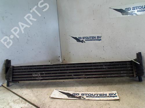 Intercooler SEAT IBIZA IV (6J5, 6P1) 1.2 TDI | BP11261598M30 