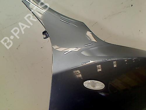 Right front fenders NISSAN JUKE (F15) 1.6 | BP11314496C42 