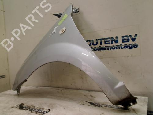 Left front fenders CHEVROLET AVEO / KALOS Saloon (T250, T255) 1.4 | BP12589501C41 