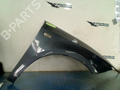 Right front fenders SEAT IBIZA IV (6J5, 6P1) 1.2 TDI | BP18901279C42 