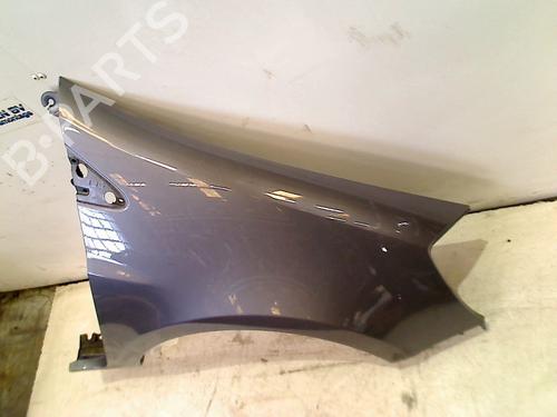 Right front fenders RENAULT CLIO III (BR0/1, CR0/1) 1.5 dCi | BP18319484C42 