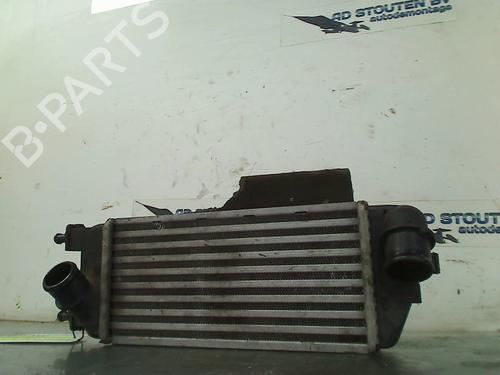 Used Intercooler FIAT 500 (312_) 0.9 (312AXG1A, 312.AXG11) (86 hp) 24335569