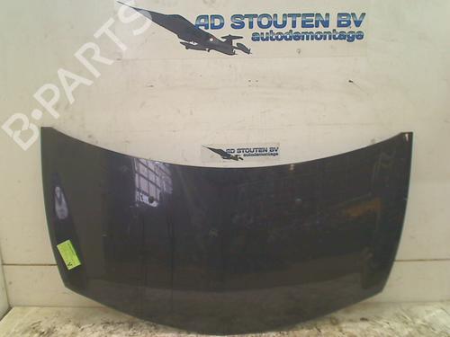 Used Hood RENAULT CLIO III (BR0/1, CR0/1) 1.2 16V (BR02, BR0J, BR11, CR02, CR0J, CR11) (75 hp) 11316945