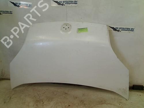 Hood FIAT FIORINO Box Body/MPV (225_) 1.3 D Multijet (225BXD1A, 225BXB1A, 225BXB11) | BP25591135C1 