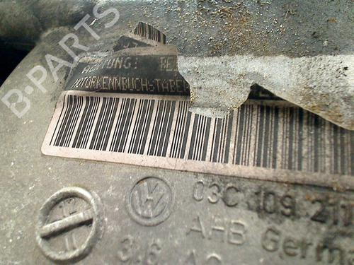 Engine VW GOLF V (1K1) 1.6 FSI | BP31181119M1 