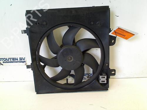 Used Fan CITROËN C3 II (SC_) 1.4 VTi 95 (95 hp) 11306590