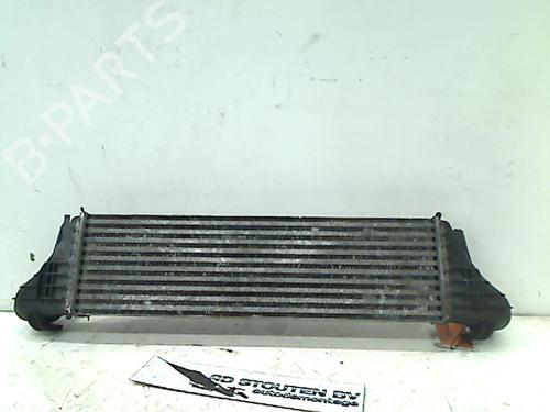 Intercooler BMW X5 (E53) 3.0 d | BP11314674M30 