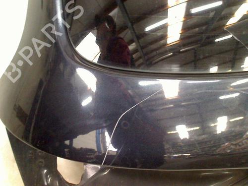 Tailgate AUDI Q5 (8RB) 2.0 TFSI quattro | BP30059991C6 