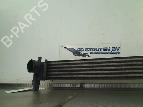 Intercooler SEAT IBIZA IV (6J5, 6P1) 1.2 TDI | BP25213989M30 