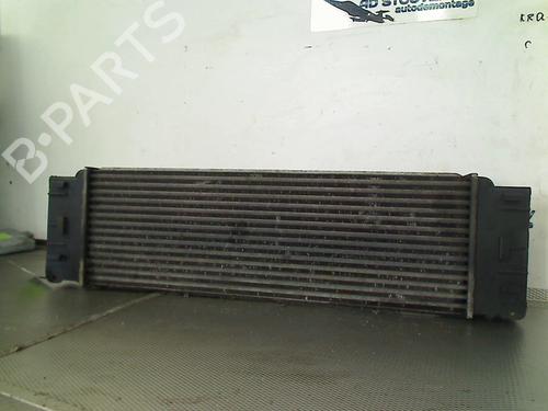 Intercooler MERCEDES-BENZ SPRINTER 5-t Platform/Chassis (B906) 518 CDI (906.153, 906.155, 906.253, 906.255) | BP31822839M30 