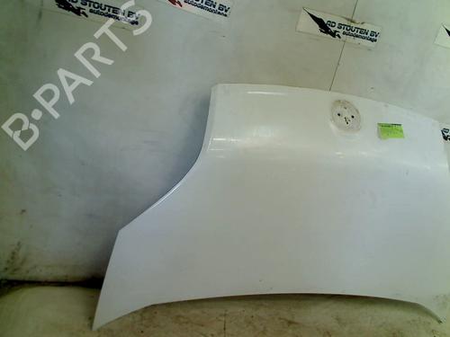 Hood FIAT FIORINO Box Body/MPV (225_) 1.3 D Multijet (225BXD1A, 225BXB1A, 225BXB11) | BP25591135C1 