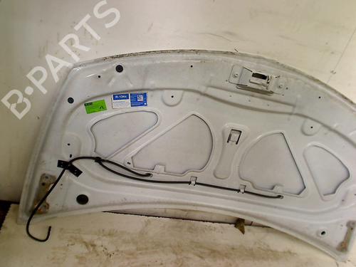 Hood RENAULT CLIO III (BR0/1, CR0/1) 1.5 dCi | BP16213842C1 