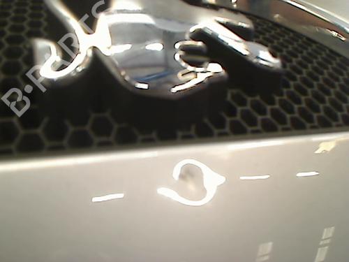 Hood PEUGEOT 107 (PM_, PN_) 1.4 HDi | BP11313635C1