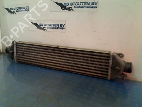 Intercooler OPEL COMBO Box Body/MPV (X12) 1.3 CDTI (B05) (90 hp) 12589600