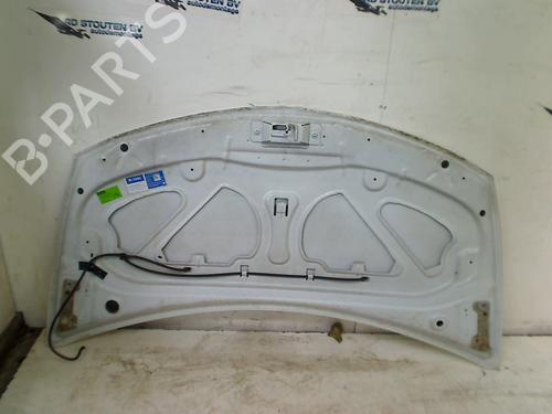 Hood RENAULT CLIO III (BR0/1, CR0/1) 1.5 dCi | BP16213842C1 