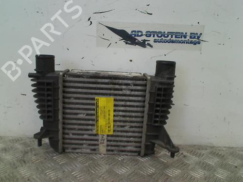 Intercooler RENAULT CLIO III (BR0/1, CR0/1) 1.5 dCi | BP11296878M30 
