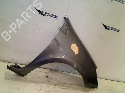 Right front fenders RENAULT CLIO III (BR0/1, CR0/1) 1.5 dCi | BP18319484C42 