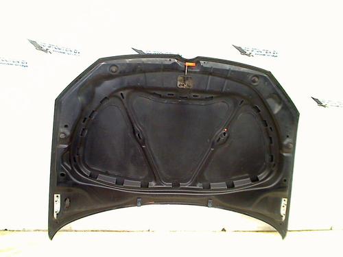 Hood VW POLO V (6R1, 6C1) 1.2 | BP21382222C1
