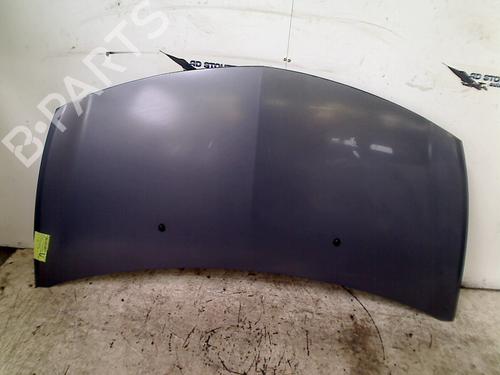 Hood RENAULT CLIO III (BR0/1, CR0/1) 1.6 16V (BR05, BR0B, BR0Y, BR15, BR1J, BR1M, BR1Y, CR0B,... | BP13387790C1 