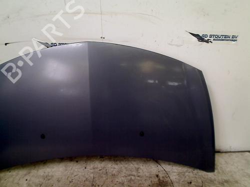 Hood RENAULT CLIO III (BR0/1, CR0/1) 1.6 16V (BR05, BR0B, BR0Y, BR15, BR1J, BR1M, BR1Y, CR0B,... | BP13387790C1 