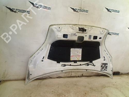 Hood FIAT FIORINO Box Body/MPV (225_) 1.3 D Multijet (225BXD1A, 225BXB1A, 225BXB11) | BP25591135C1 