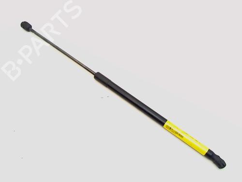 Used Tailgate lift support MAZDA 2 (DY) 1.4 (80 hp) 13166986