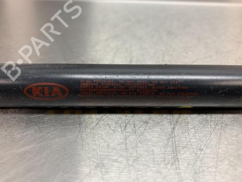Tailgate lift support KIA PICANTO II (TA) 1.0 | BP13176132C138 