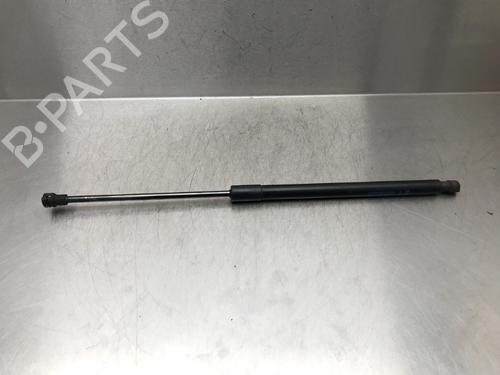 Used Tailgate lift support CHEVROLET AVEO Hatchback (T300) 1.3 D (95 hp) 13185952