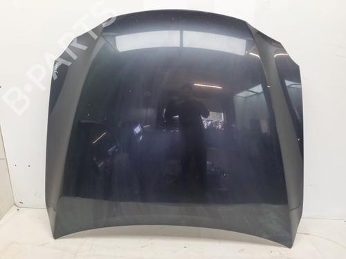 Used Hood LEXUS IS II (_E2_) 220d (ALE20) (177 hp) 20127573
