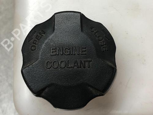 Expansion tank KIA SPORTAGE III (SL) 2.0 CVVT | BP10846757C120